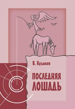 Владимир Кулаков Последняя лошадь обложка книги