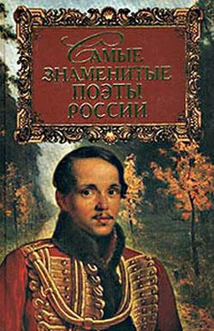 Геннадий Прашкевич Самые знаменитые поэты России обложка книги