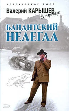 Валерий Карышев Исполнитель обложка книги