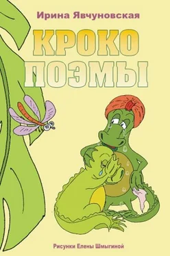 Ирина Явчуновская КРОКОПОЭМЫ обложка книги