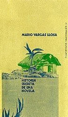 Mario Llosa Historia secreta de una novela обложка книги