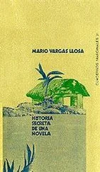 Mario Llosa - Historia secreta de una novela