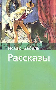 Исаак Бабель Ты проморгал, капитан! обложка книги