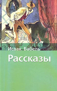 Исаак Бабель Аргамак обложка книги