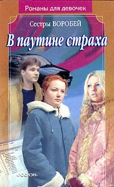 Вера и Марина Воробей В паутине страха обложка книги