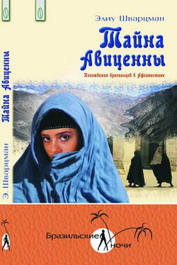 Элиу Шварцман Тайна Авиценны. Похождения бразильцев в Афганистане обложка книги