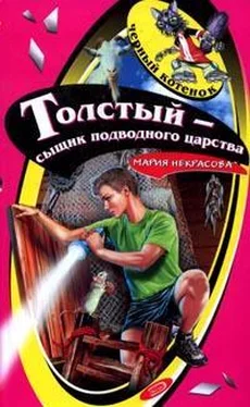 Мария Некрасова Толстый – сыщик подводного царства обложка книги