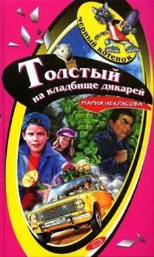 Мария Некрасова Толстый на кладбище дикарей обложка книги