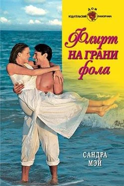 Сандра Мэй Флирт на грани фола обложка книги