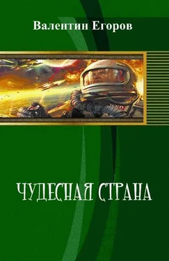 Валентин Егоров Чудесная страна (СИ) обложка книги