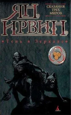 Ян Ирвин Тень в зеркале обложка книги