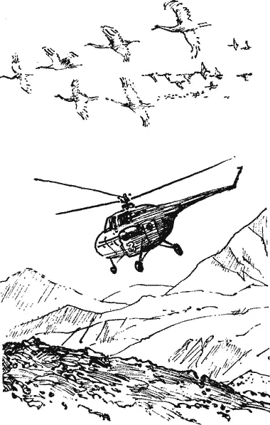 Высоко над деревьями пролетел вертолёт Камил и Гульчехра помахали ему вслед А - фото 4