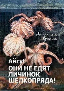 Анастасия Ерохина Айгу! Они не едят личинок шелкопряда! обложка книги