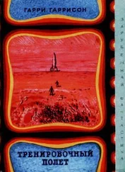 Гарри Гаррисон - Тренировочный полёт (авторский сборник)