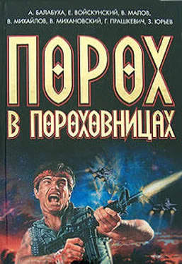 Владимир Михайлов 2012 обложка книги