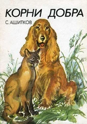 Сергей Ашитков - Корни добра (Главы из книги)