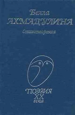 Белла Ахмадулина Стихотворения обложка книги