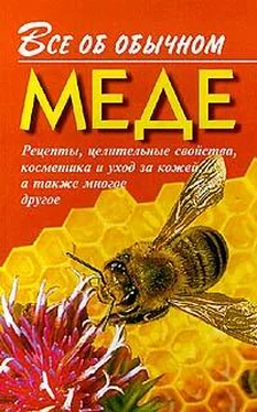 Иван Дубровин Все об обычном меде обложка книги