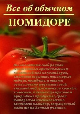 Иван Дубровин Все об обычном помидоре обложка книги