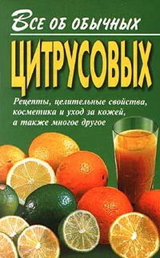 Иван Дубровин Все об обычных цитрусовых обложка книги