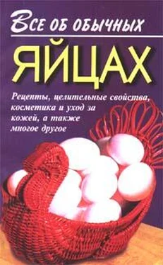 Иван Дубровин Все об обычных яйцах обложка книги