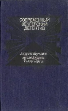 Ласло Андраш Смерть на берегу Дуная обложка книги