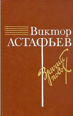 Виктор Астафьев О товарище Сталине обложка книги