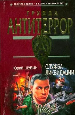 Юрий Шубин Служба ликвидации обложка книги