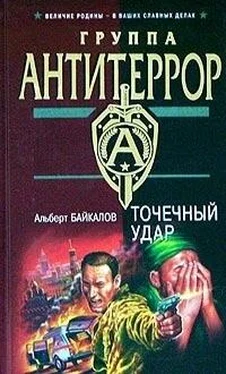 Альберт Байкалов Точечный удар обложка книги