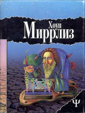 Хоуп Миррлиз Луд-Туманный обложка книги