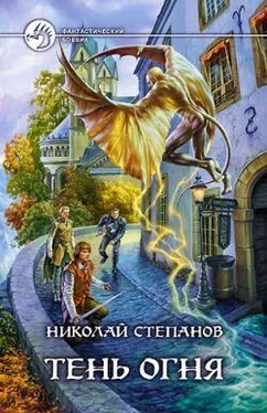 Николай Степанов Тень огня обложка книги