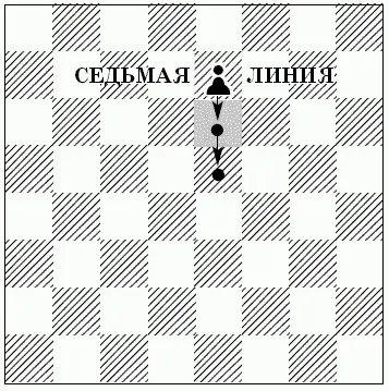 Дaвайте и черную пешку в ферзи проведем крикнул Пиноккио и продвинул - фото 138