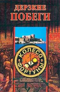 Дарья Нестерова Дерзкие побеги обложка книги