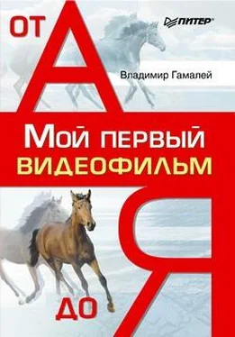 Владимир Гамалей Мой первый видеофильм от А до Я обложка книги