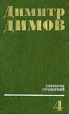 Димитр Димов Июльская зима обложка книги