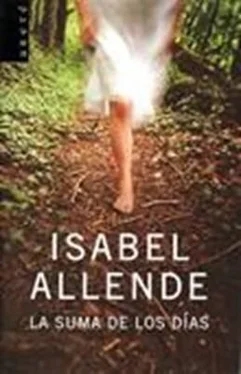 Isabel Allende La Suma de los Días обложка книги