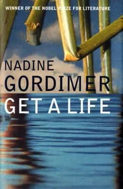 Nadine Gordimer Get A Life обложка книги