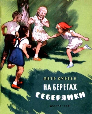 Петр Суреев На берегах Себерянки обложка книги