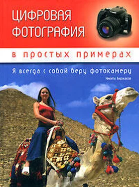 Никита Биржаков Цифровая фотография в простых примерах обложка книги