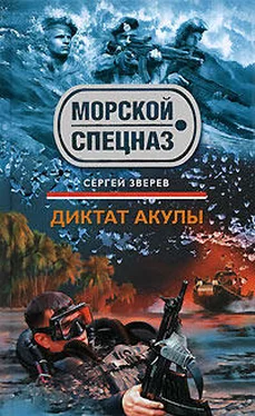 Сергей Зверев Диктат акулы обложка книги