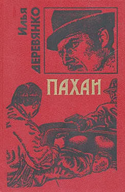 Илья Деревянко Пахан обложка книги