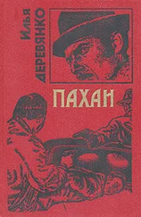 Илья Деревянко - Пахан