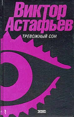 Виктор Астафьев Последний кусок хлеба обложка книги