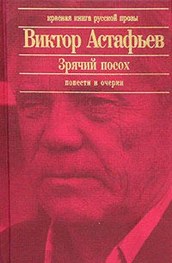 Виктор Астафьев Паруня обложка книги
