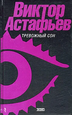 Виктор Астафьев О чем ты плачешь, ель?