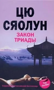 Цю Сяолун Закон триады обложка книги