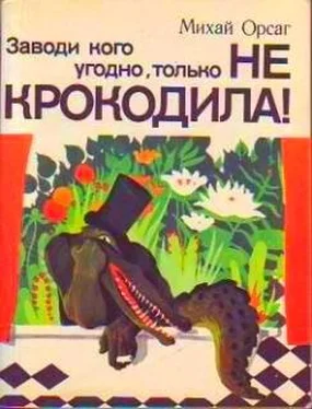 Михай Орсаг Заводи кого угодно, только НЕ КРОКОДИЛА! обложка книги