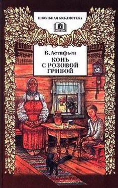 Виктор Астафьев Злодейка обложка книги