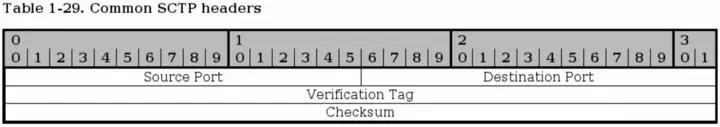 Every SCTP packet contains the Common header as seen above The header contains - фото 11
