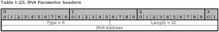 This parameter is used to send IPv6 addresses in the INIT chunk This address - фото 21